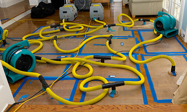 Professional Emergency Water Removal technician working in Earth, TX